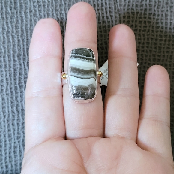 ✨️HP✨️ Shivam Zebra🦓 Jasper Statement Ring💍 - NWT - Picture 11 of 16
